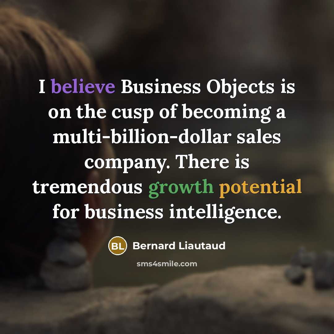 “I believe Business Objects is on the cusp of becoming a multi-billion-dollar sales company. There is tremendous growth potential for business intelligence.” quote by Bernard Liautaud