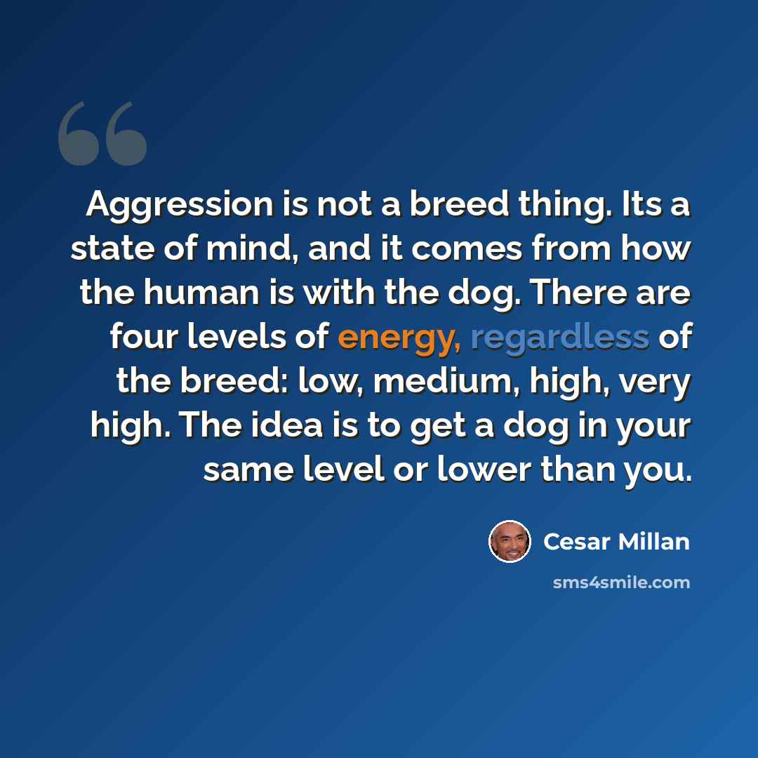 “Aggression is not a breed thing. Its a state of mind, and it comes from how the human is with the dog. There are four levels of energy, regardless of the breed: low, medium, high, very high. The idea is to get a dog in your same level or lower than you.” quote by Cesar Millan