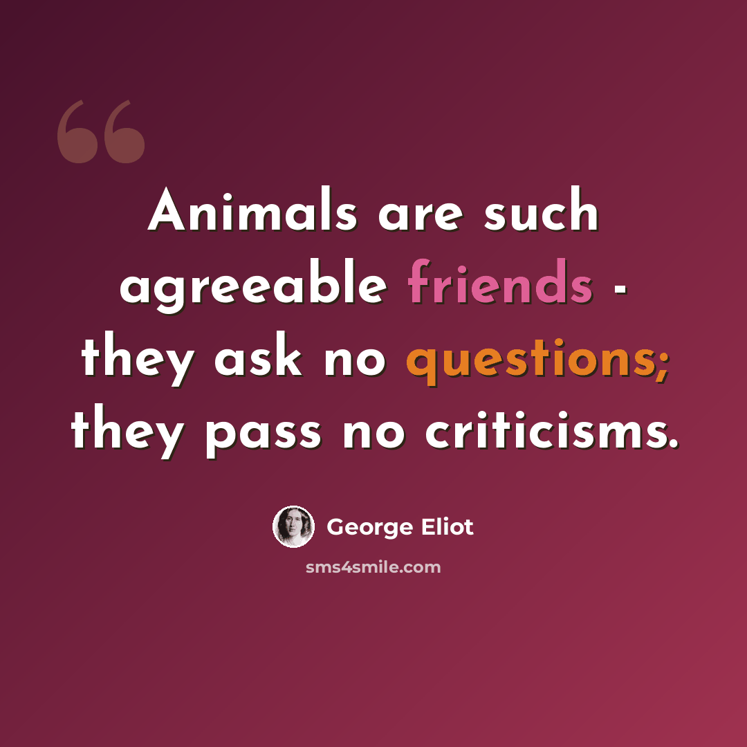 “Animals are such agreeable friends - they ask no questions; they pass no criticisms.” quote by George Eliot