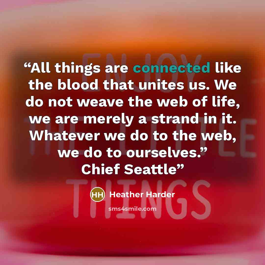 “All things are connected like the blood that unites us. We do not weave the web of life, we are merely a strand in it. Whatever we do to the web, we do to ourselves.” Chief Seattle” quote by Heather Harder