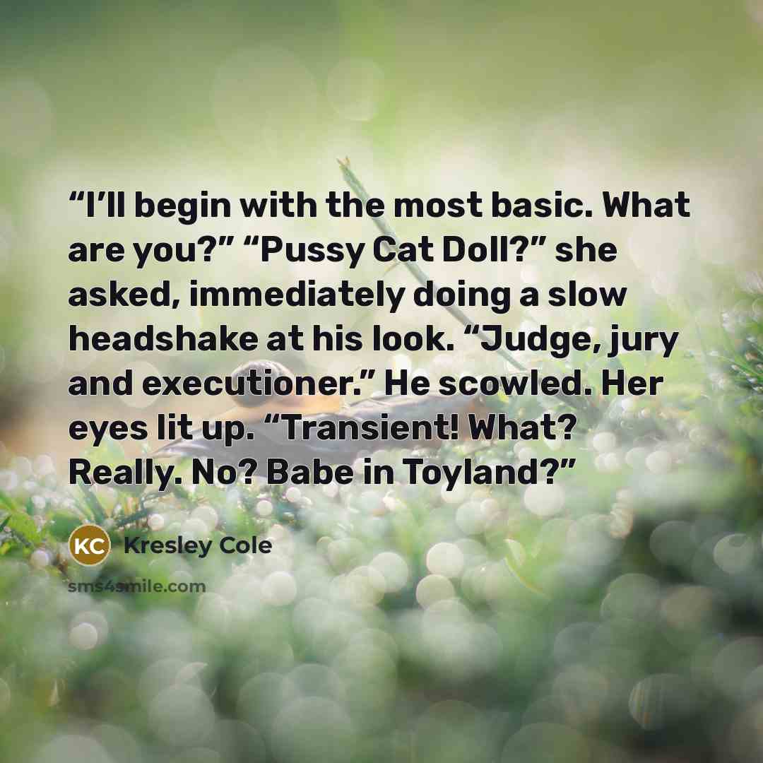 “I’ll begin with the most basic. What are you?” “Pussy Cat Doll?” she asked, immediately doing a slow headshake at his look. “Judge, jury and executioner.” He scowled. Her eyes lit up. “Transient! What? Really. No? Babe in Toyland?” quote by Kresley Cole