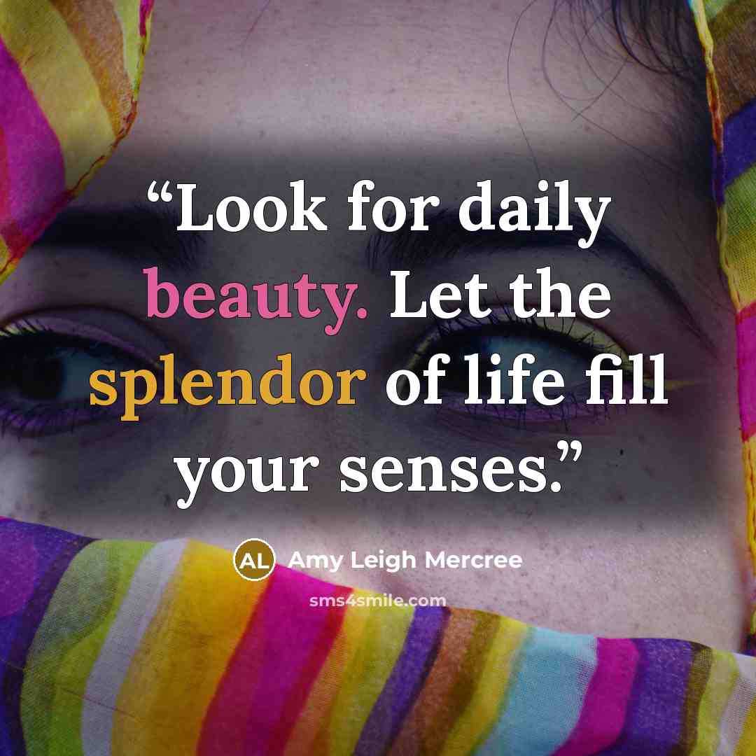 “Look for daily beauty. Let the splendor of life fill your senses.” quote by Amy Leigh Mercree