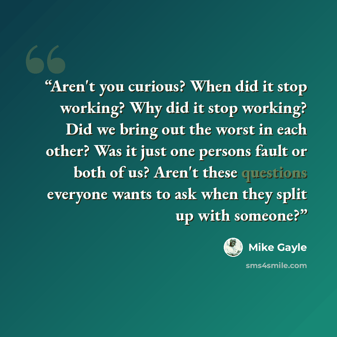 “Aren't you curious? When did it stop working? Why did it stop working? Did we bring out the worst in each other? Was it just one persons fault or both of us? Aren't these questions everyone wants to ask when they split up with someone?” quote by Mike Gayle