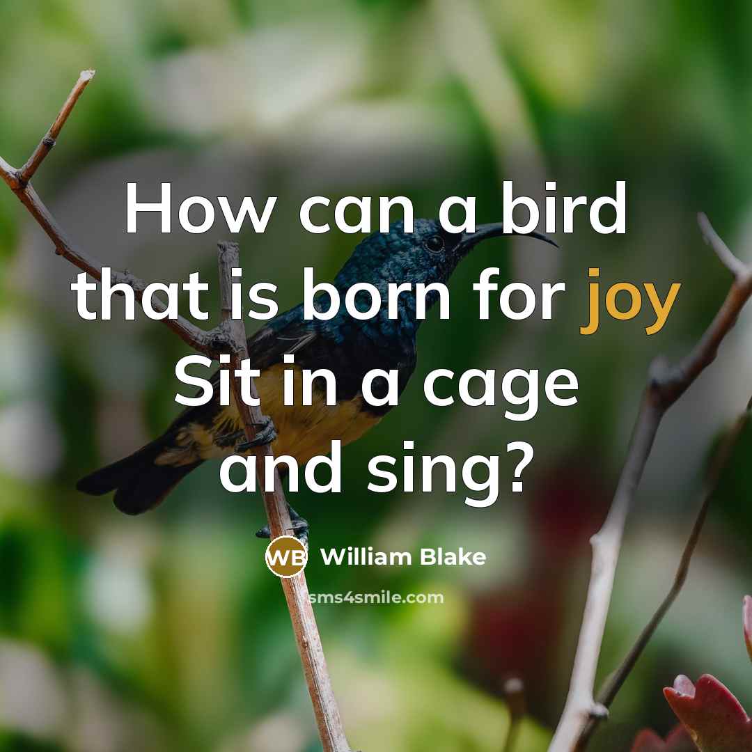 “How can a bird that is born for joy Sit in a cage and sing?” quote by William Blake