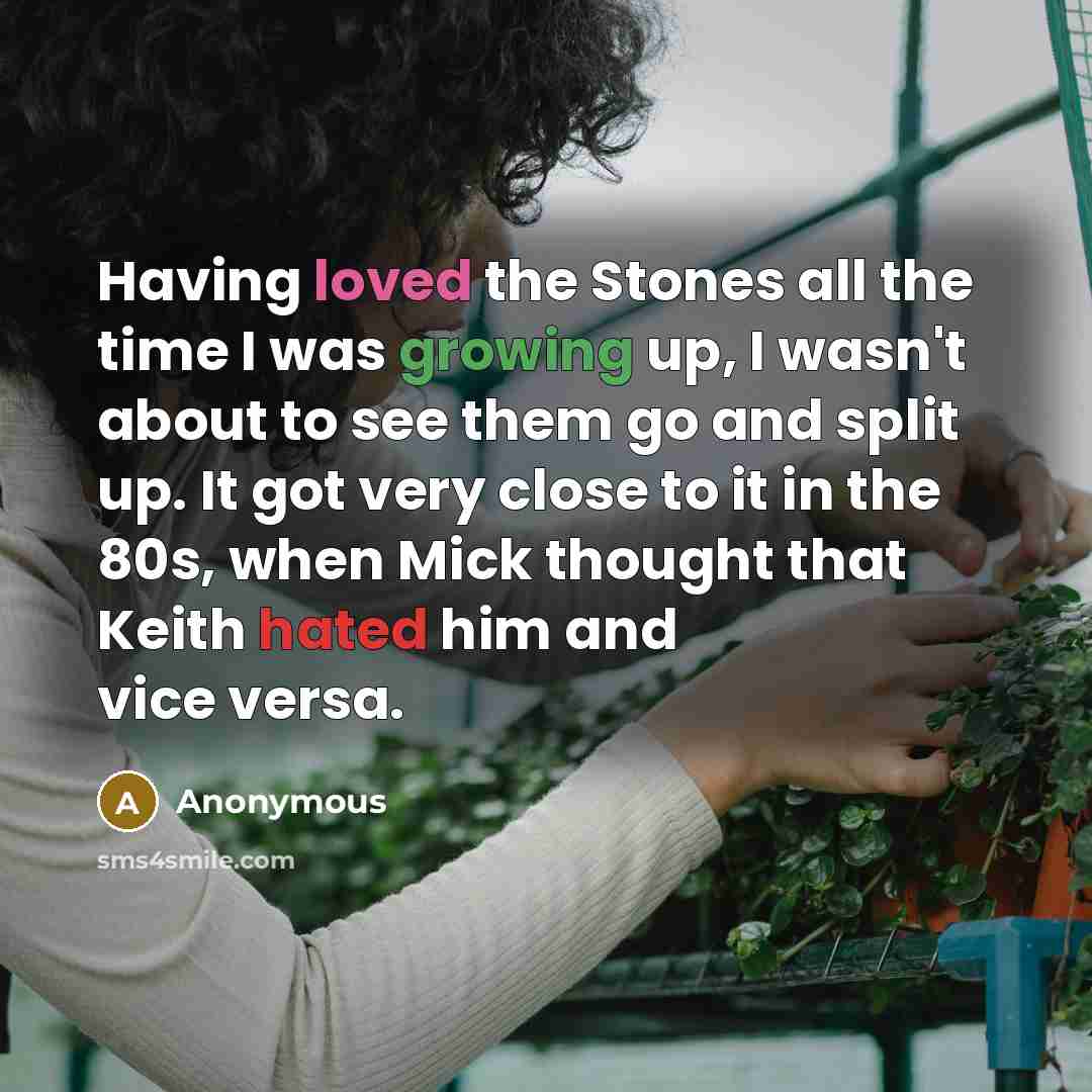 “Having loved the Stones all the time I was growing up, I wasn't about to see them go and split up. It got very close to it in the 80s, when Mick thought that Keith hated him and vice versa.” quote by Anonymous