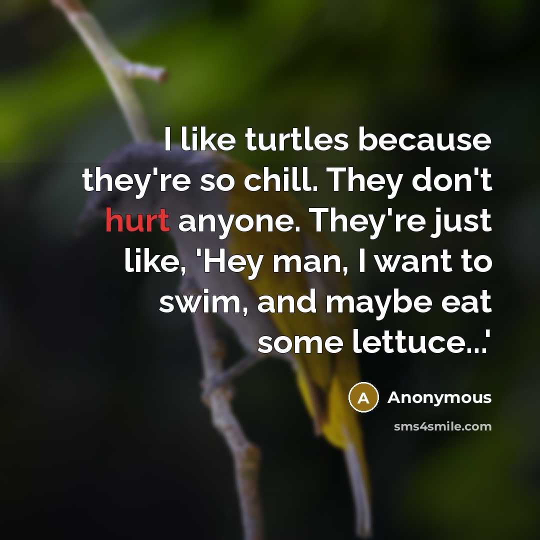 “I like turtles because they're so chill. They don't hurt anyone. They're just like, 'Hey man, I want to swim, and maybe eat some lettuce...'” quote by Anonymous