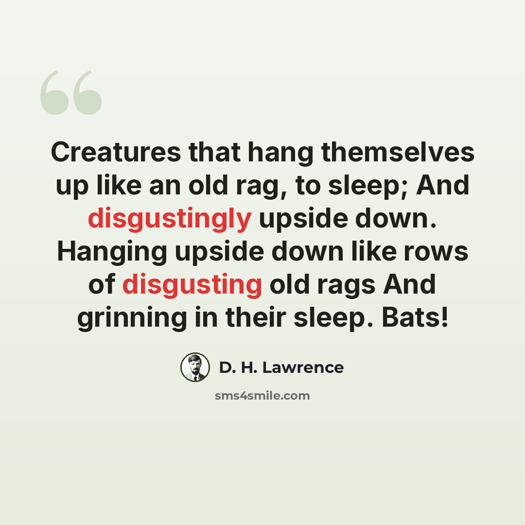 “Creatures that hang themselves up like an old rag, to sleep; And disgustingly upside down. Hanging upside down like rows of disgusting old rags And grinning in their sleep. Bats!” quote by D. H. Lawrence