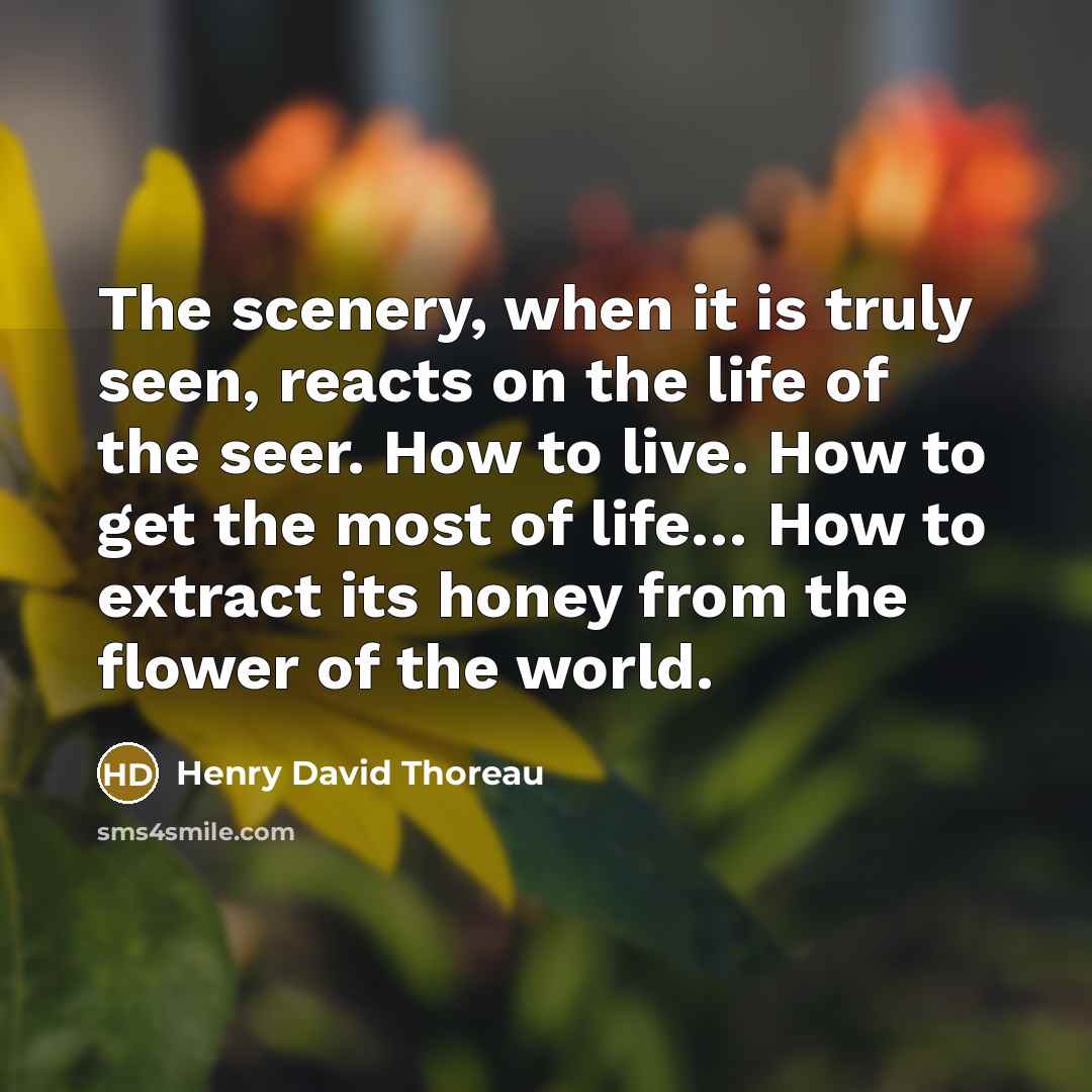 “The scenery, when it is truly seen, reacts on the life of the seer. How to live. How to get the most of life… How to extract its honey from the flower of the world.” quote by Henry David Thoreau