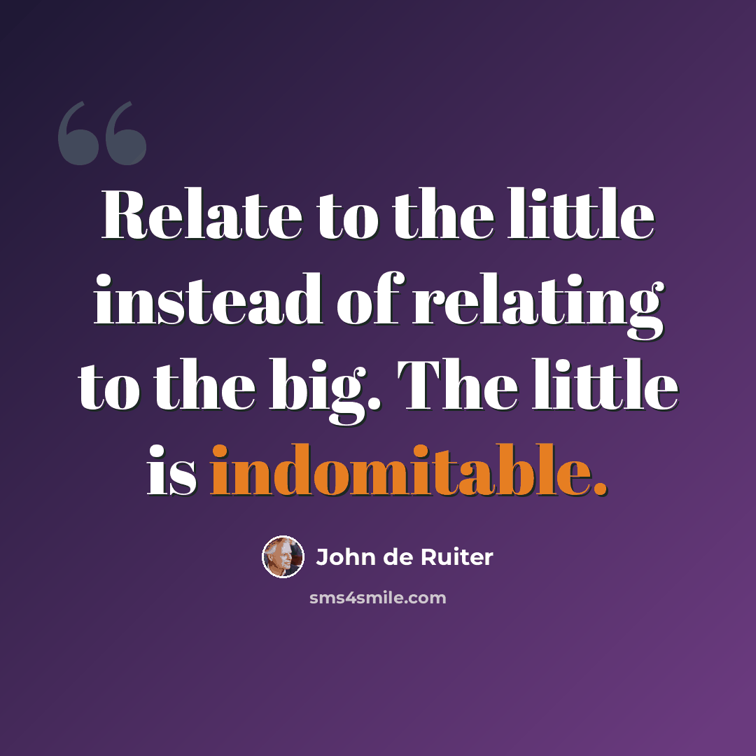 “Relate to the little instead of relating to the big. The little is indomitable.” quote by John de Ruiter