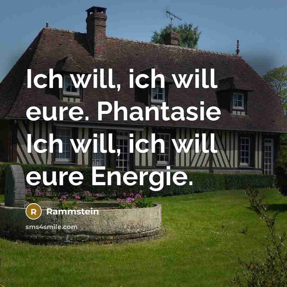 “Ich will, ich will eure. Phantasie Ich will, ich will eure Energie.” quote by Rammstein