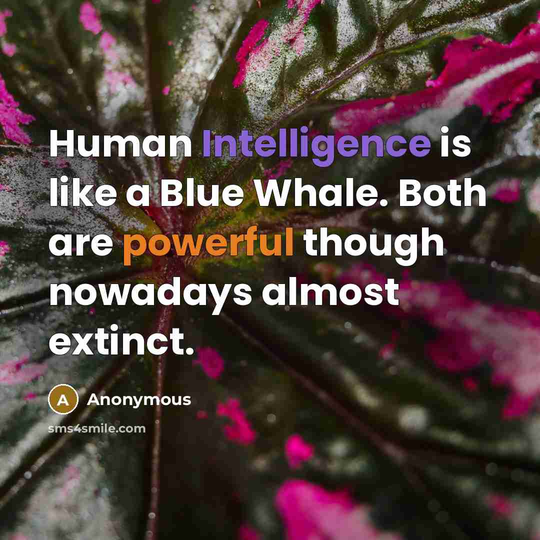 “Human Intelligence is like a Blue Whale. Both are powerful though nowadays almost extinct.” quote by Anonymous