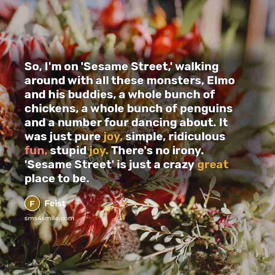 “So, I'm on 'Sesame Street,' walking around with all these monsters, Elmo and his buddies, a whole bunch of chickens, a whole bunch of penguins and a number four dancing about. It was just pure joy, simple, ridiculous fun, stupid joy. There's no irony. 'Sesame Street' is just a crazy great place to…” quote by Feist