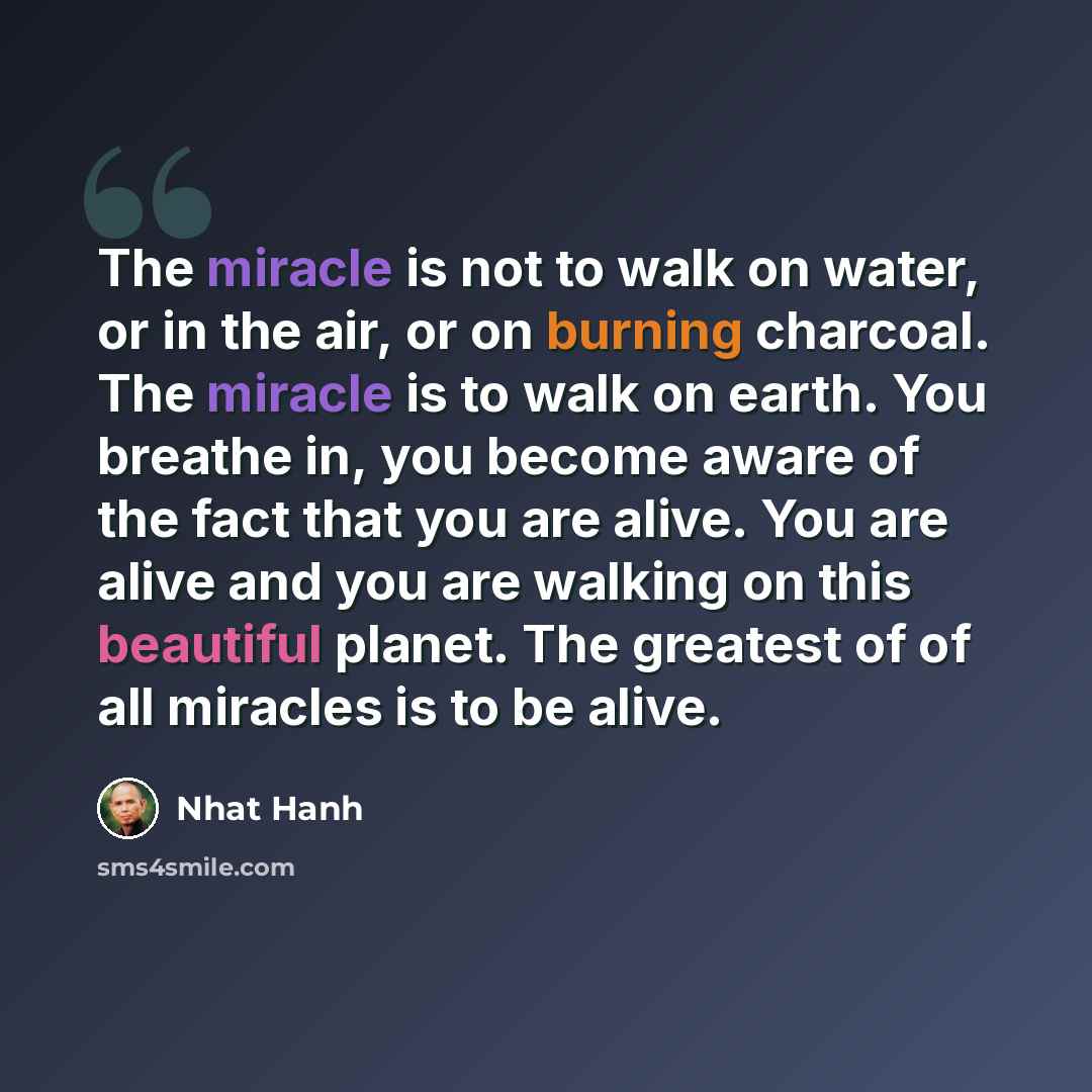“The miracle is not to walk on water, or in the air, or on burning charcoal. The miracle is to walk on earth. You breathe in, you become aware of the fact that you are alive. You are alive and you are walking on this beautiful planet. The greatest of of all miracles is to be alive.” quote by Nhat Hanh