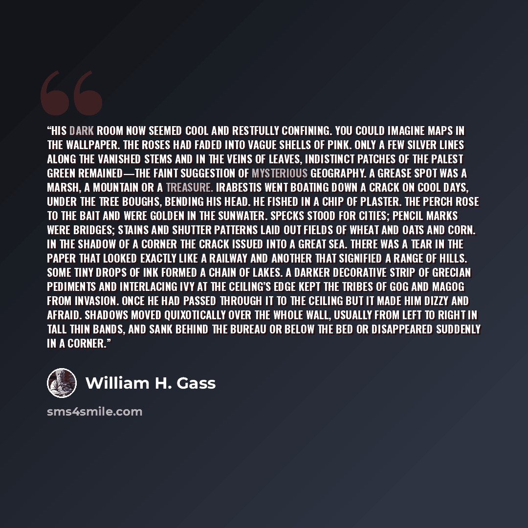 “His dark room now seemed cool and restfully confining. You could imagine maps in the wallpaper. The roses had faded into vague shells of pink. Only a few silver lines along the vanished stems and in the veins of leaves, indistinct patches of the palest green remained—the faint suggestion of…” quote by William H. Gass