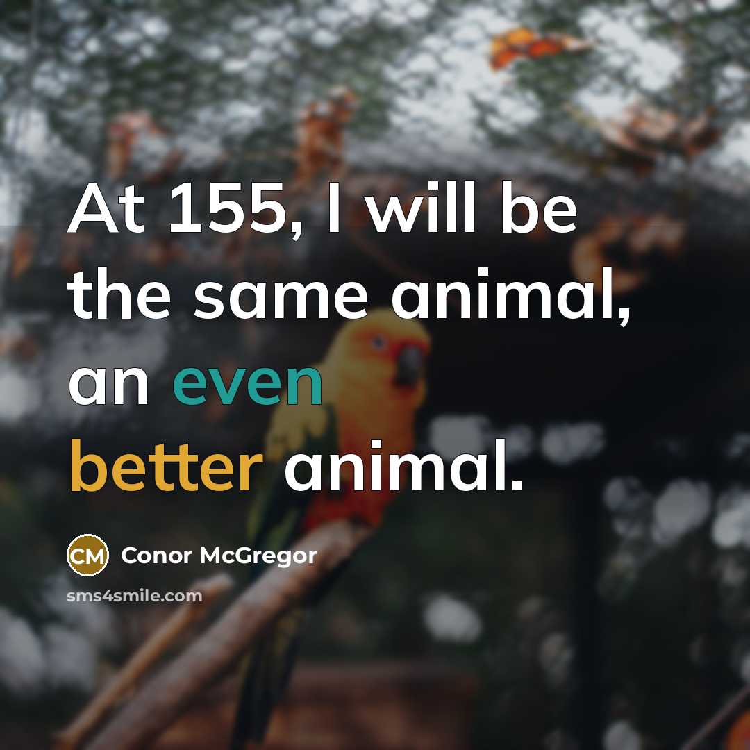 “At 155, I will be the same animal, an even better animal.” quote by Conor McGregor