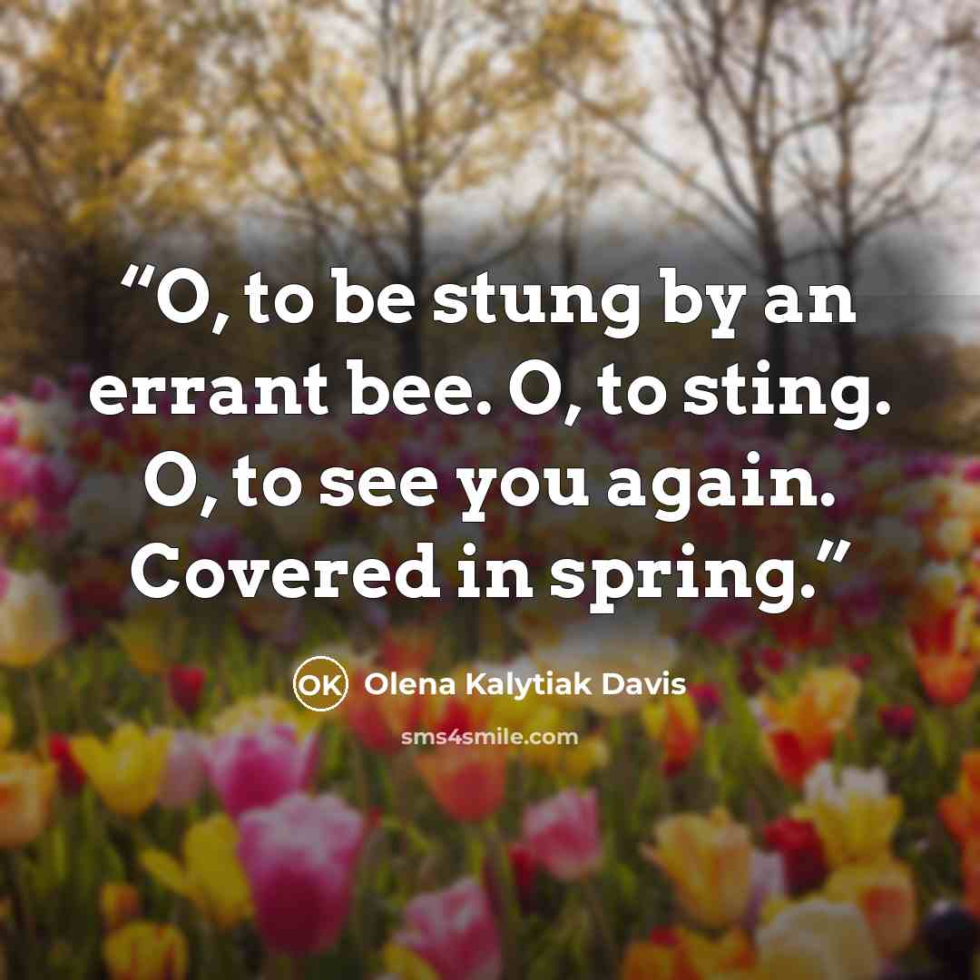 “O, to be stung by an errant bee. O, to sting. O, to see you again. Covered in spring.” quote by Olena Kalytiak Davis