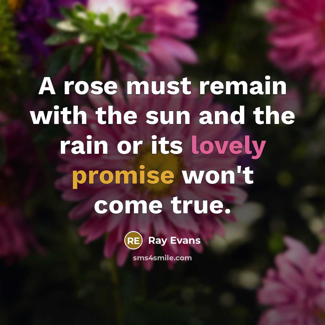 “A rose must remain with the sun and the rain or its lovely promise won't come true.” quote by Ray Evans