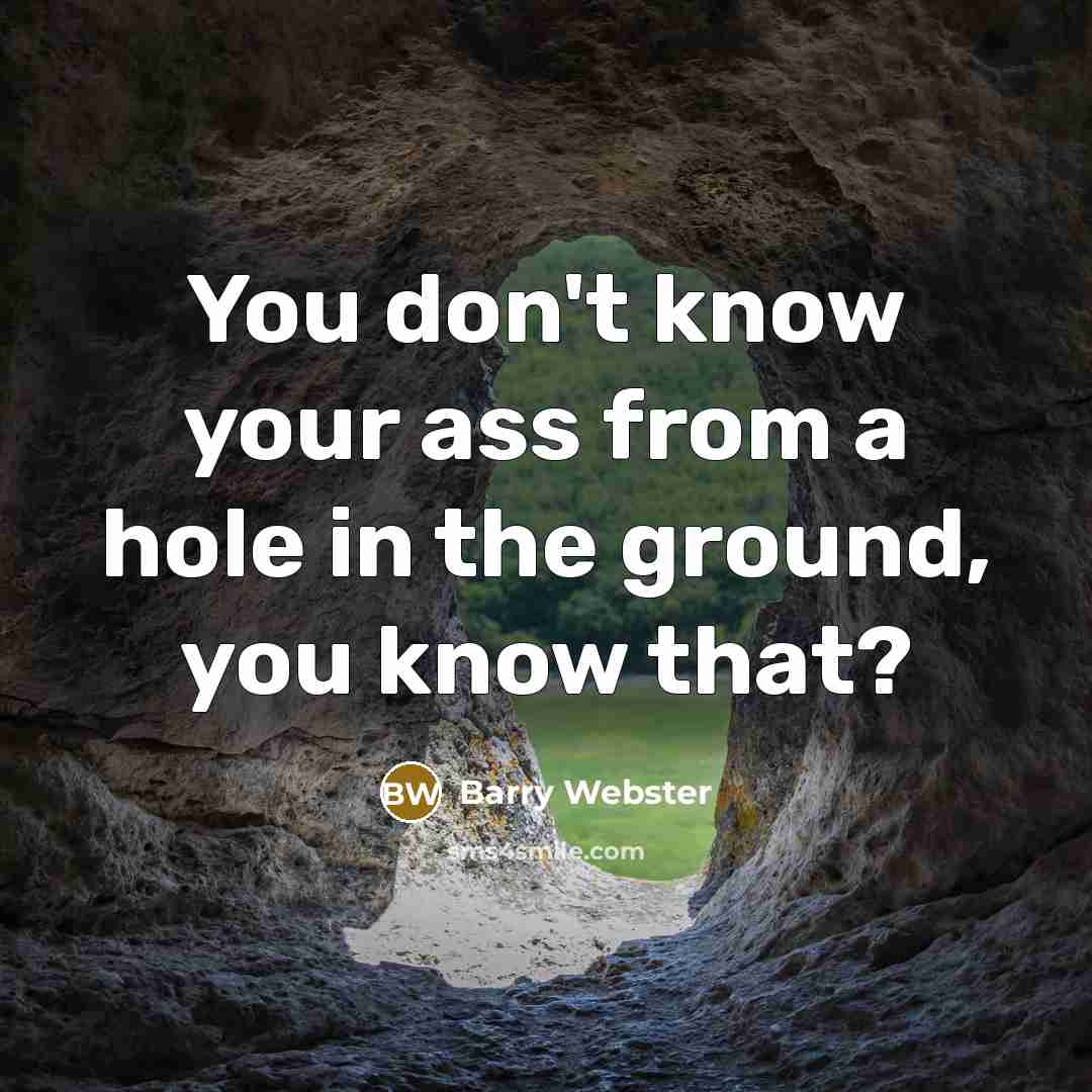 “You don't know your ass from a hole in the ground, you know that?” quote by Barry Webster