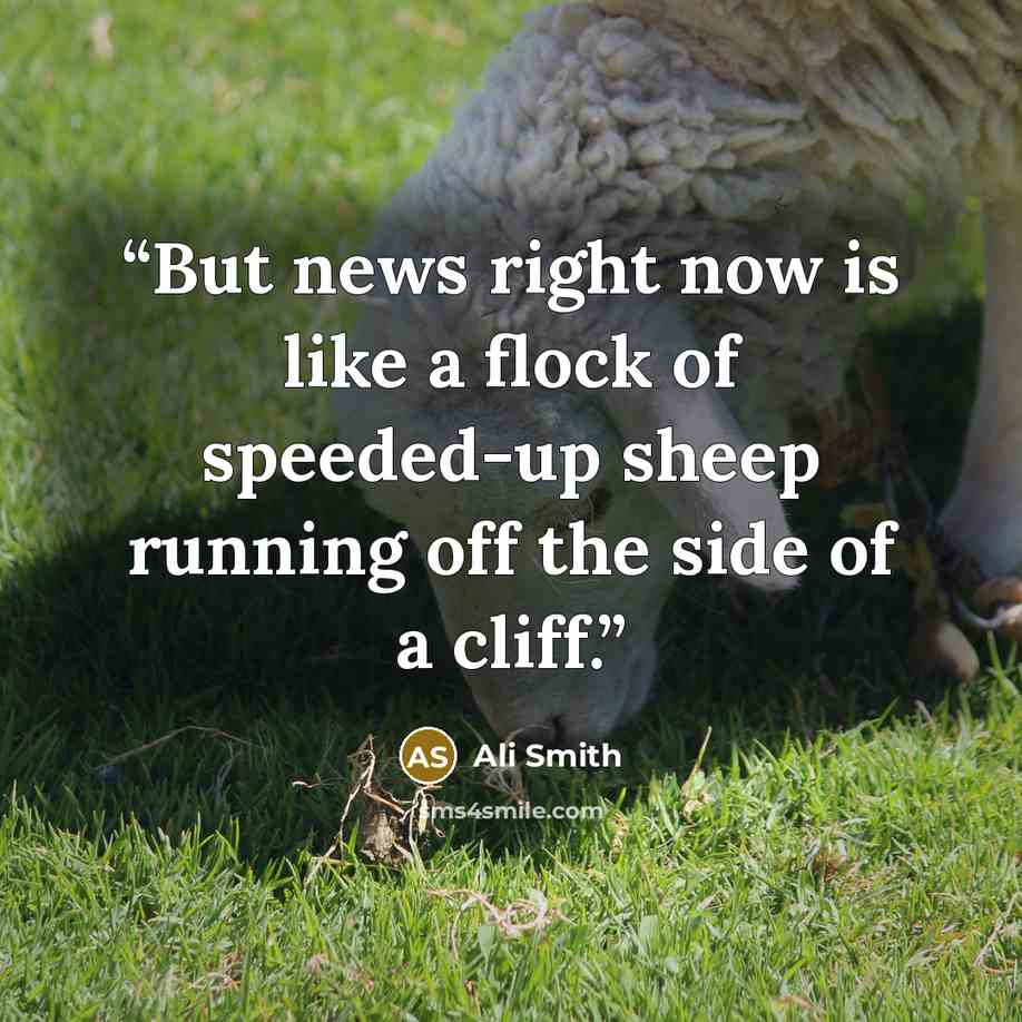 “But news right now is like a flock of speeded-up sheep running off the side of a cliff.” quote by Ali Smith
