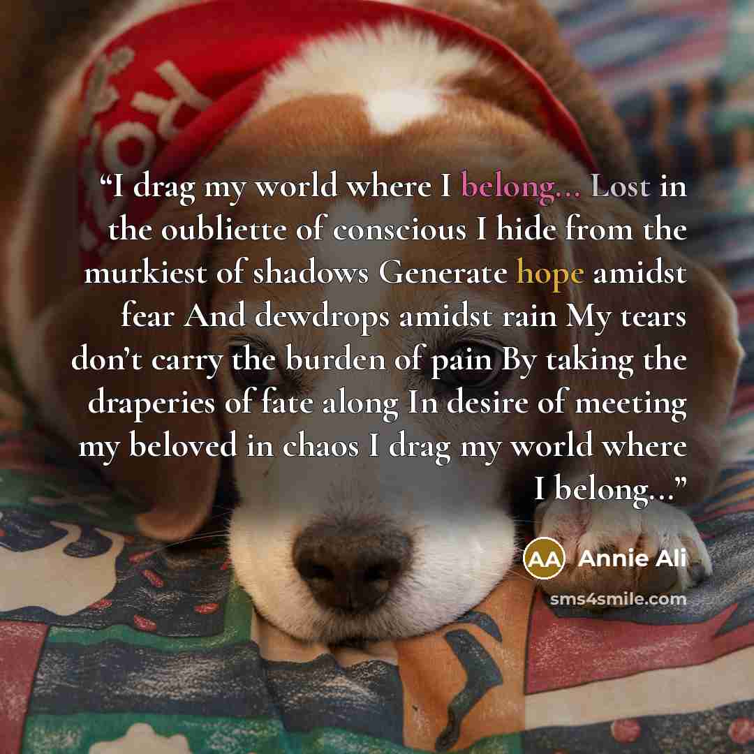 “I drag my world where I belong... Lost in the oubliette of conscious I hide from the murkiest of shadows Generate hope amidst fear And dewdrops amidst rain My tears don’t carry the burden of pain By taking the draperies of fate along In desire of meeting my beloved in chaos I drag my world where I…” quote by Annie Ali