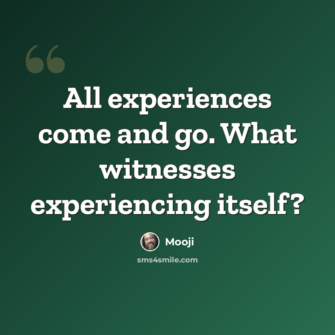 “All experiences come and go. What witnesses experiencing itself?” quote by Mooji