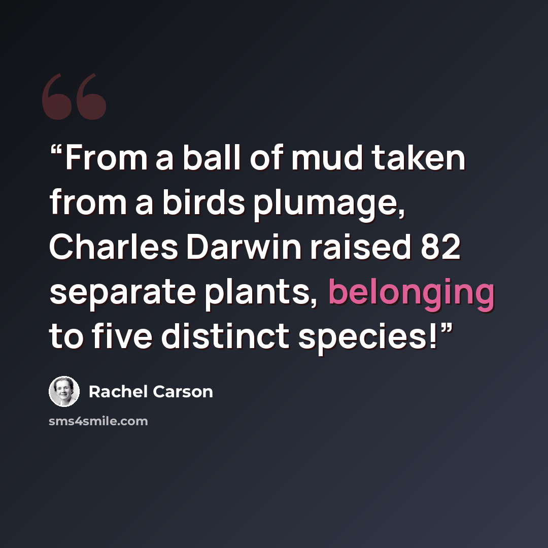 “From a ball of mud taken from a birds plumage, Charles Darwin raised 82 separate plants, belonging to five distinct species!” quote by rachel carson