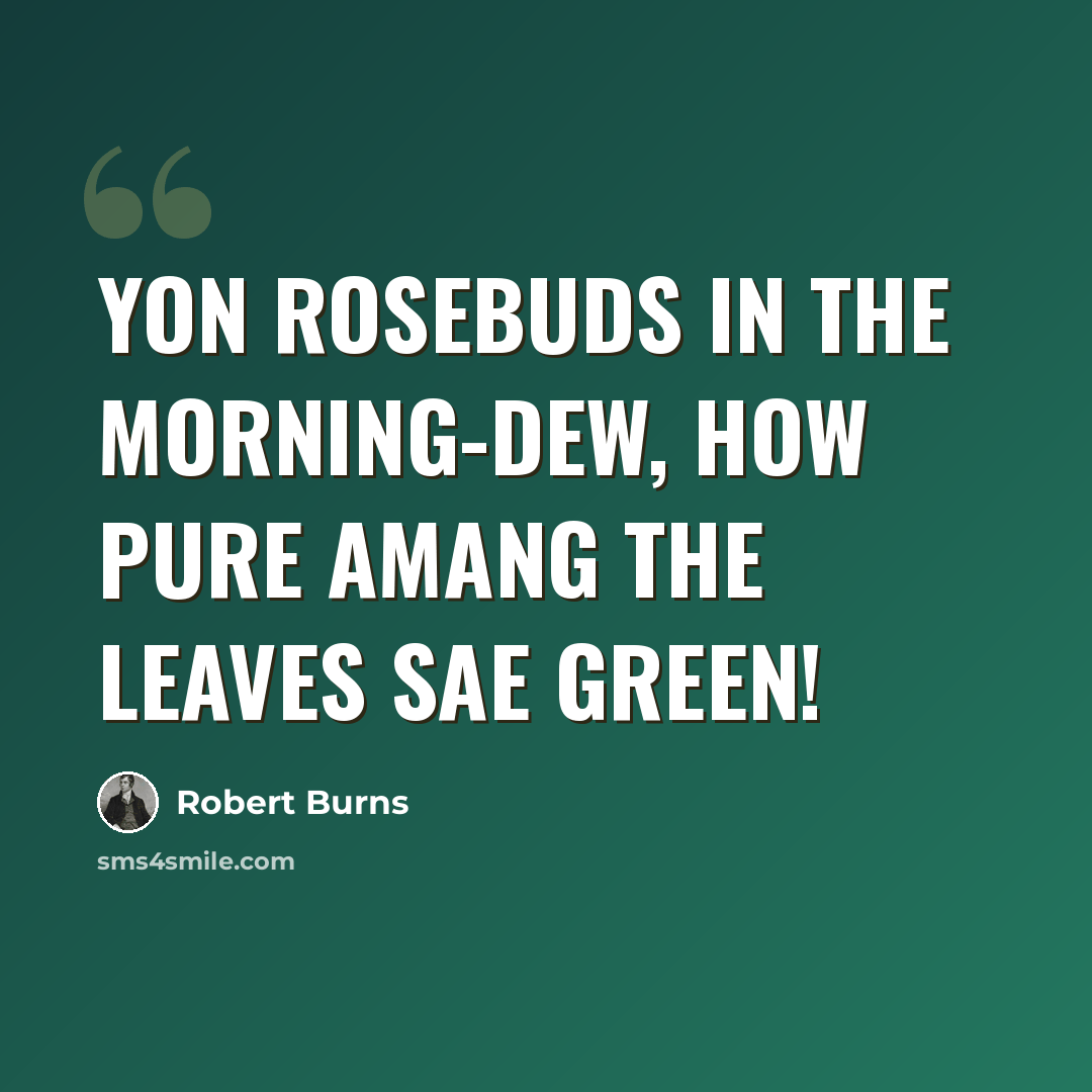 “Yon rosebuds in the morning-dew, how pure amang the leaves sae green!” quote by Robert Burns