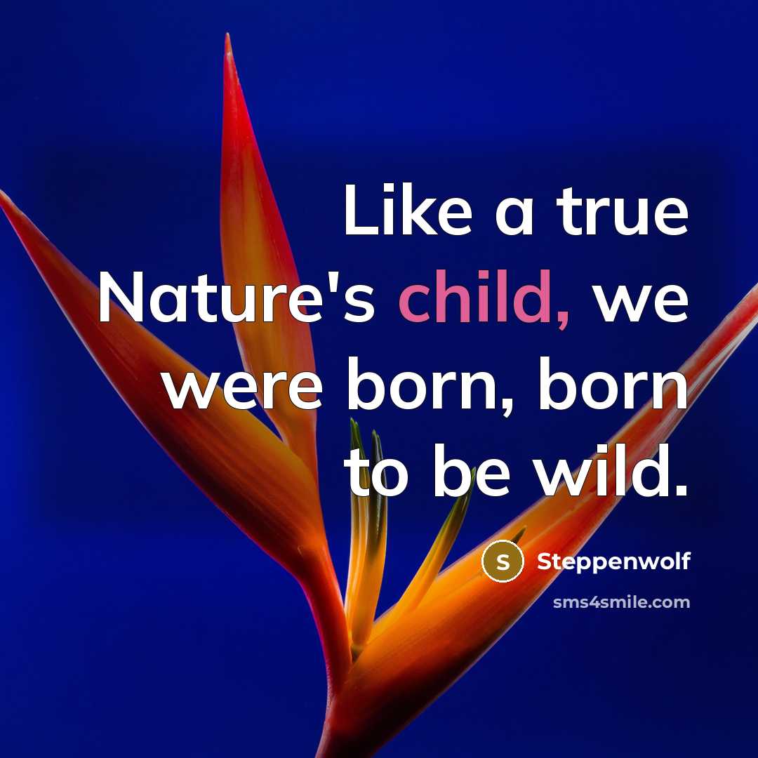 “Like a true Nature's child, we were born, born to be wild.” quote by Steppenwolf