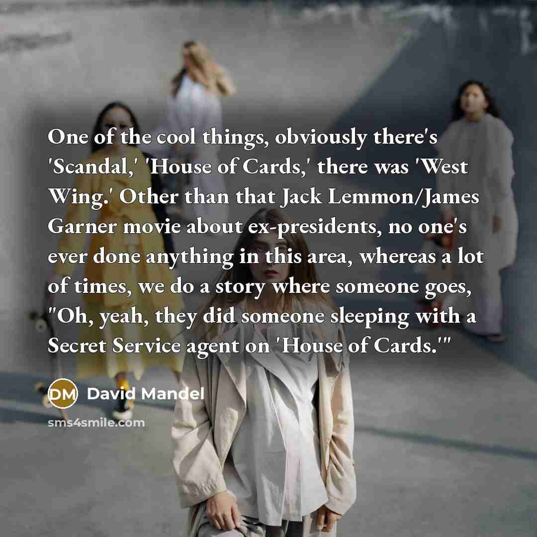 “One of the cool things, obviously there's 'Scandal,' 'House of Cards,' there was 'West Wing.' Other than that Jack Lemmon/James Garner movie about ex-presidents, no one's ever done anything in this area, whereas a lot of times, we do a story where someone goes, "Oh, yeah, they did someone sleeping…” quote by David Mandel