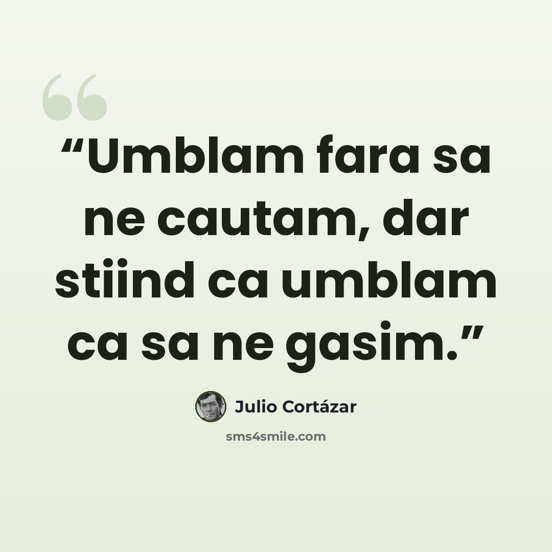 “Umblam fara sa ne cautam, dar stiind ca umblam ca sa ne gasim.” quote by Julio Cortázar