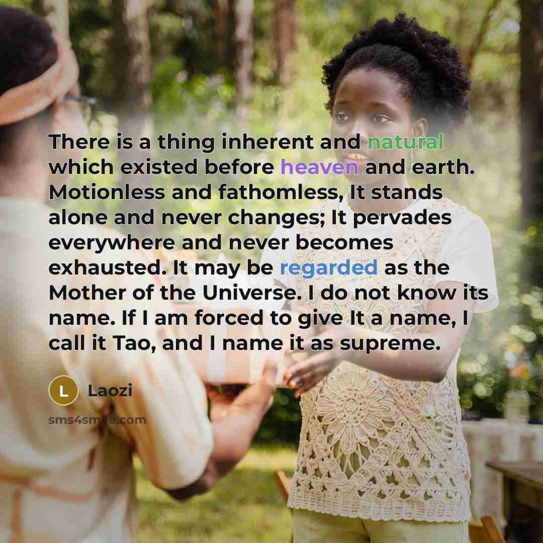“There is a thing inherent and natural which existed before heaven and earth. Motionless and fathomless, It stands alone and never changes; It pervades everywhere and never becomes exhausted. It may be regarded as the Mother of the Universe. I do not know its name. If I am forced to give It a name…” quote by Laozi
