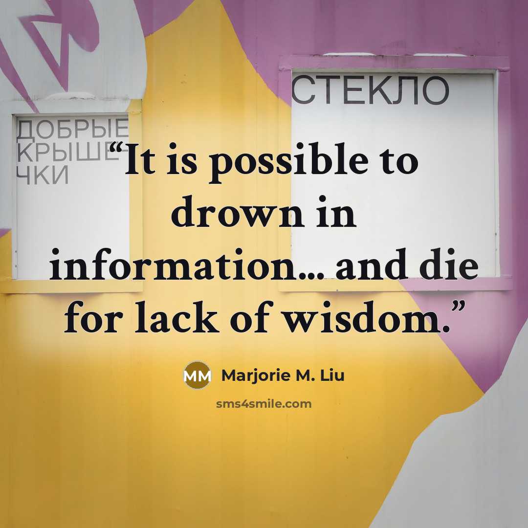 “It is possible to drown in information... and die for lack of wisdom.” quote by Marjorie M. Liu