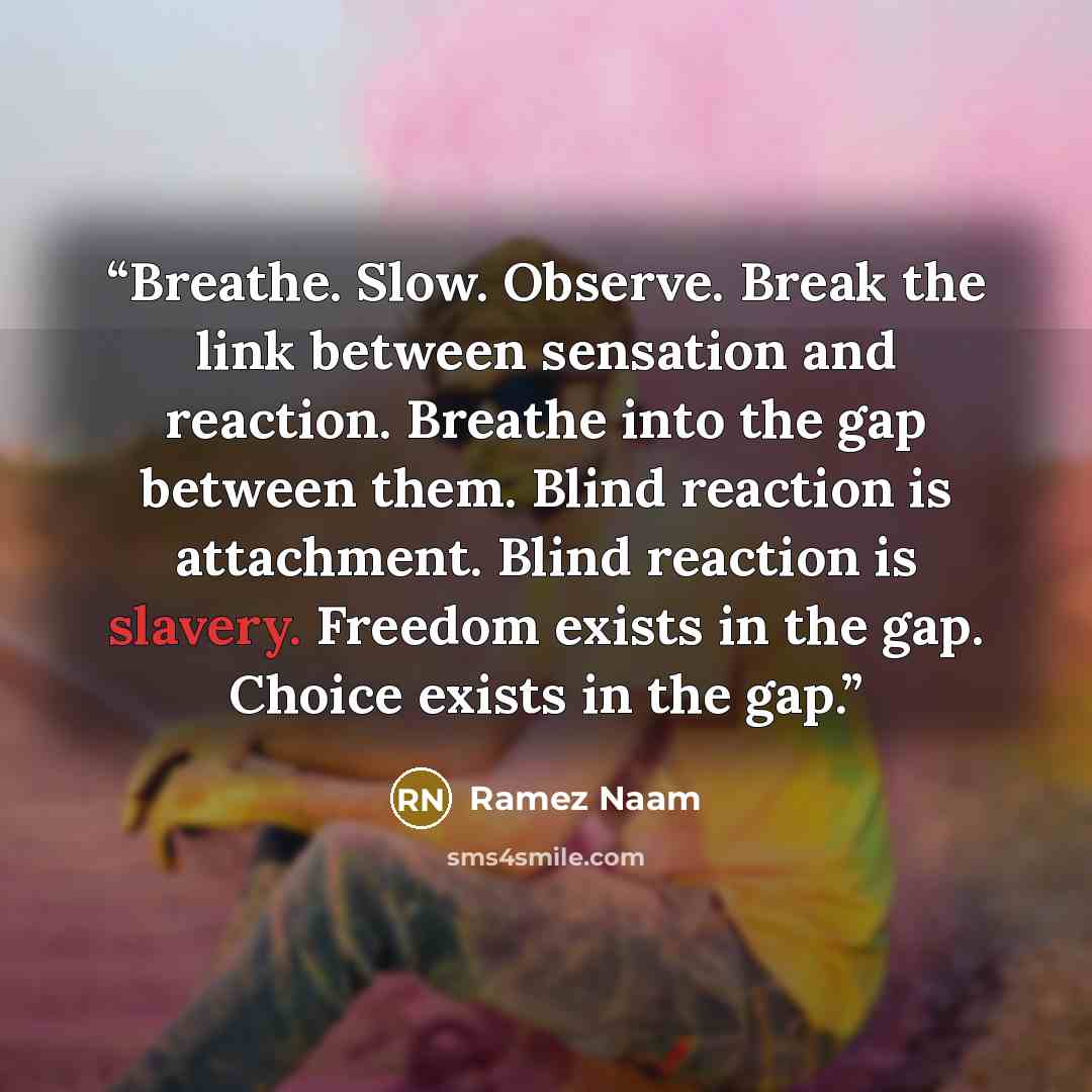 “Breathe. Slow. Observe. Break the link between sensation and reaction. Breathe into the gap between them. Blind reaction is attachment. Blind reaction is slavery. Freedom exists in the gap. Choice exists in the gap.” quote by Ramez Naam