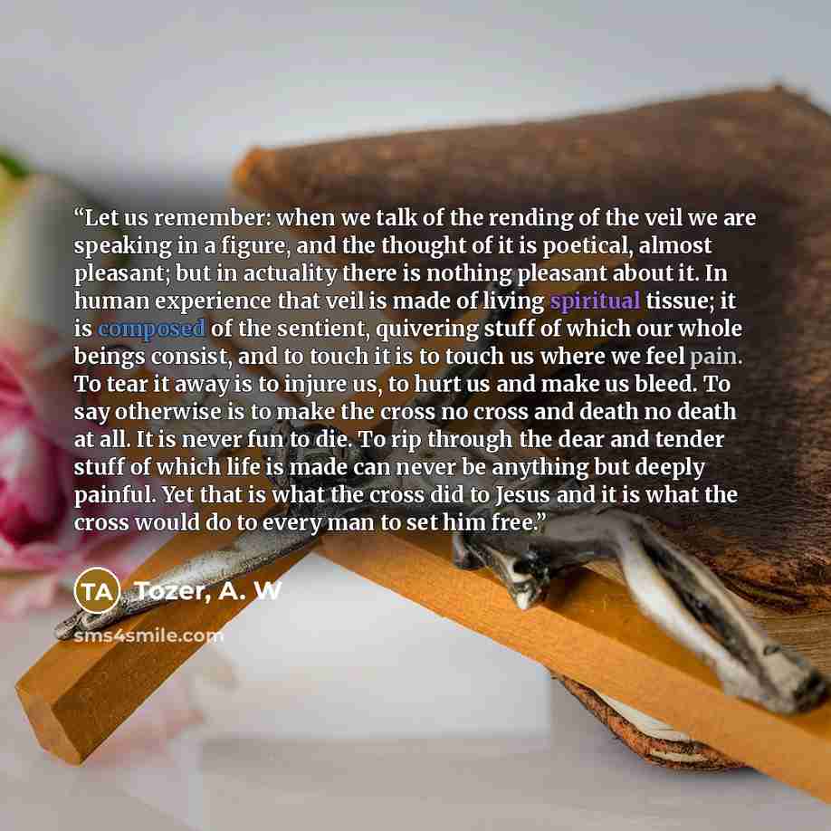 “Let us remember: when we talk of the rending of the veil we are speaking in a figure, and the thought of it is poetical, almost pleasant; but in actuality there is nothing pleasant about it. In human experience that veil is made of living spiritual tissue; it is composed of the sentient, quivering…” quote by Tozer, A. W
