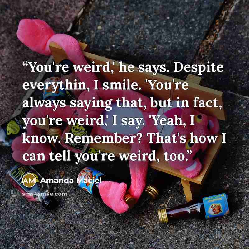 “You're weird,' he says. Despite everythin, I smile. 'You're always saying that, but in fact, you're weird,' I say. 'Yeah, I know. Remember? That's how I can tell you're weird, too.” quote by Amanda Maciel
