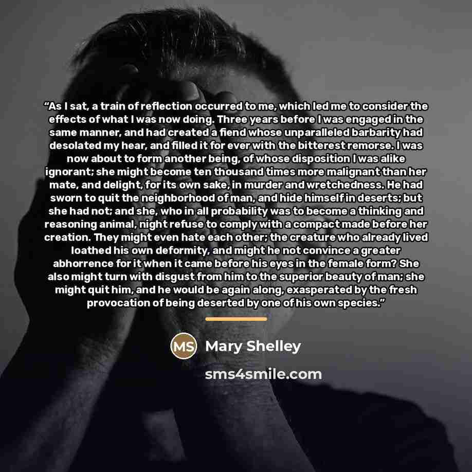 “As I sat, a train of reflection occurred to me, which led me to consider the effects of what I was now doing. Three years before I was engaged in the same manner, and had created a fiend whose unparalleled barbarity had desolated my hear, and filled it for ever with the bitterest remorse. I was…” quote by Mary Shelley