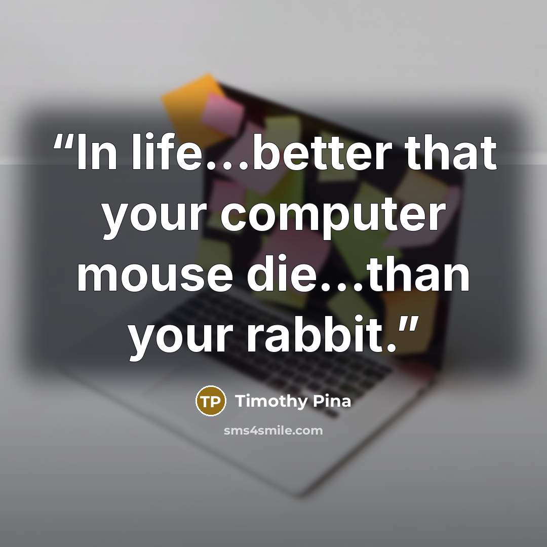 “In life...better that your computer mouse die...than your rabbit.” quote by Timothy Pina