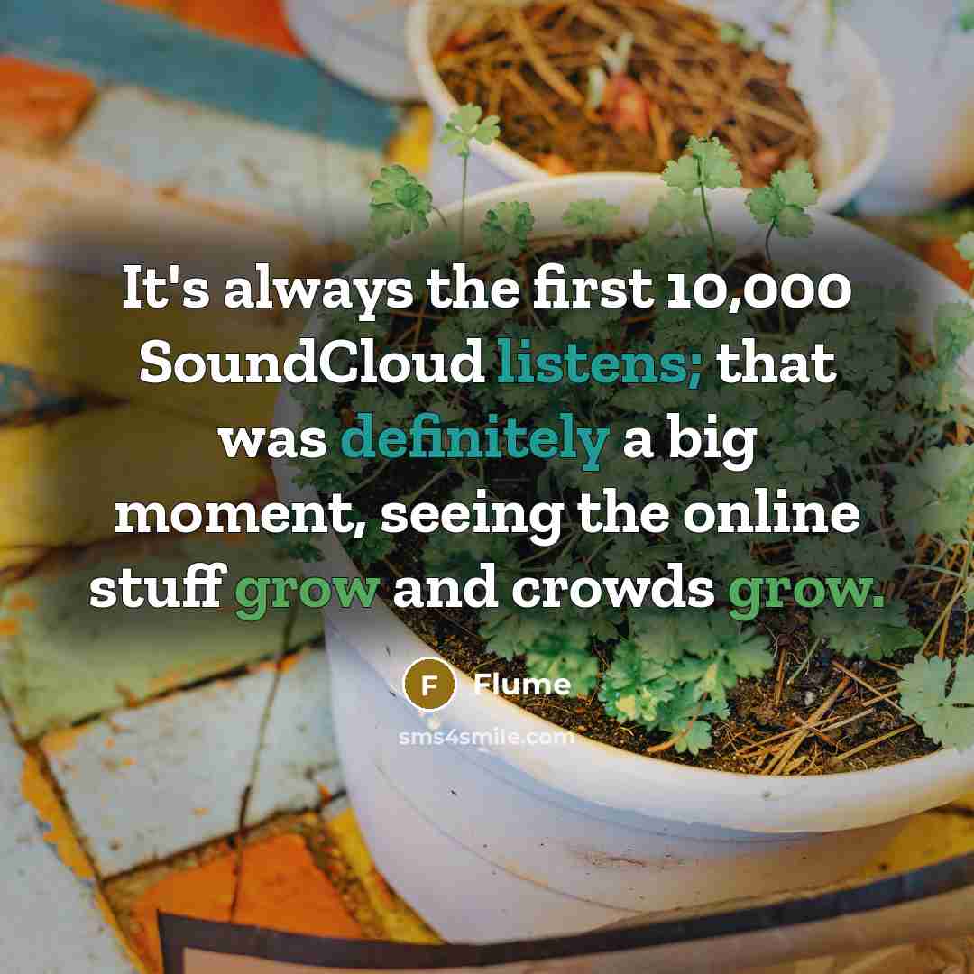 “It's always the first 10,000 SoundCloud listens; that was definitely a big moment, seeing the online stuff grow and crowds grow.” quote by Flume