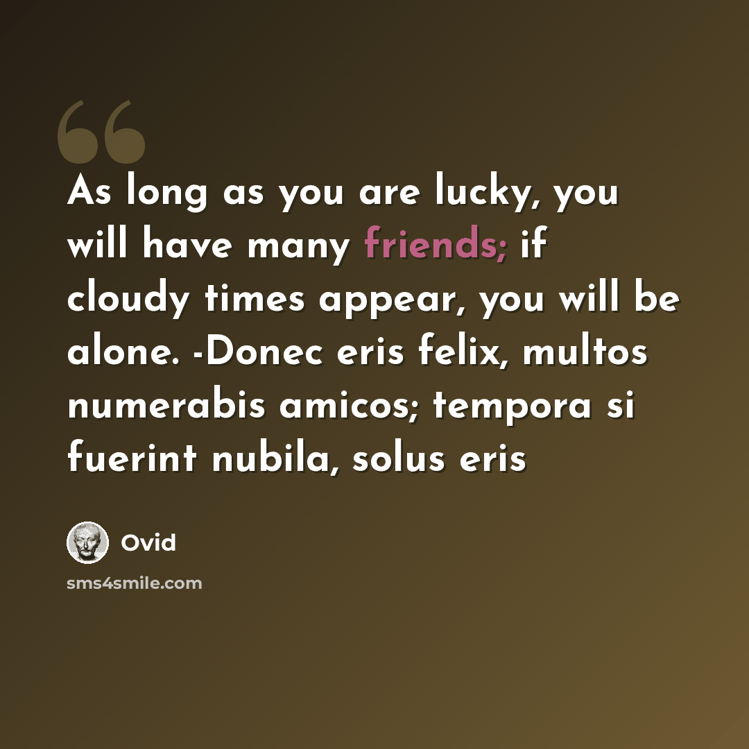 “As long as you are lucky, you will have many friends; if cloudy times appear, you will be alone. -Donec eris felix, multos numerabis amicos; tempora si fuerint nubila, solus eris” quote by Ovid