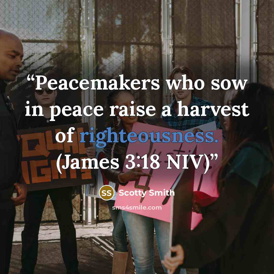 “Peacemakers who sow in peace raise a harvest of righteousness. (James 3:18 NIV)” quote by Scotty Smith