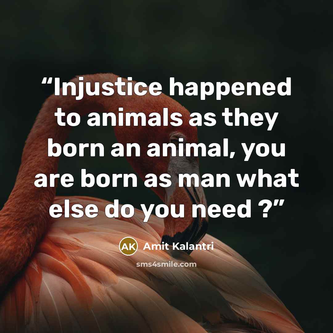 “Injustice happened to animals as they born an animal, you are born as man what else do you need ?” quote by Amit Kalantri