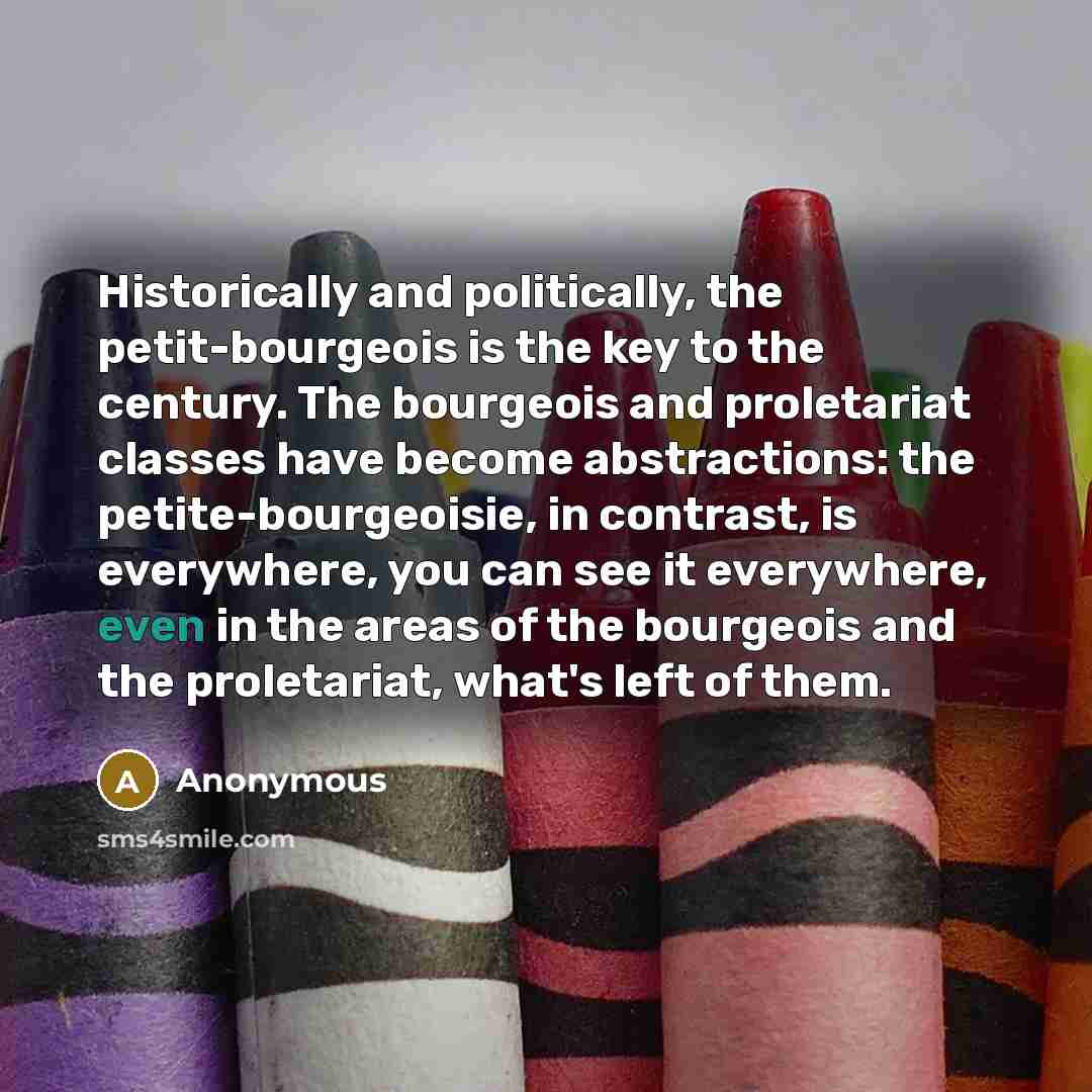 “Historically and politically, the petit-bourgeois is the key to the century. The bourgeois and proletariat classes have become abstractions: the petite-bourgeoisie, in contrast, is everywhere, you can see it everywhere, even in the areas of the bourgeois and the proletariat, what's left of them.” quote by Anonymous