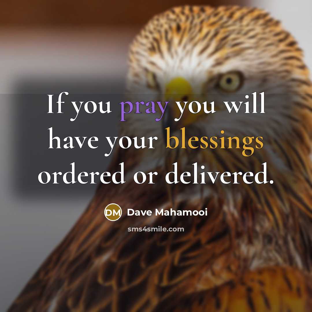 “If you pray you will have your blessings ordered or delivered.” quote by Dave Mahamooi