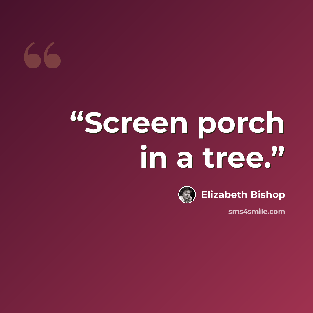 “Screen porch in a tree.” quote by Elizabeth Bishop