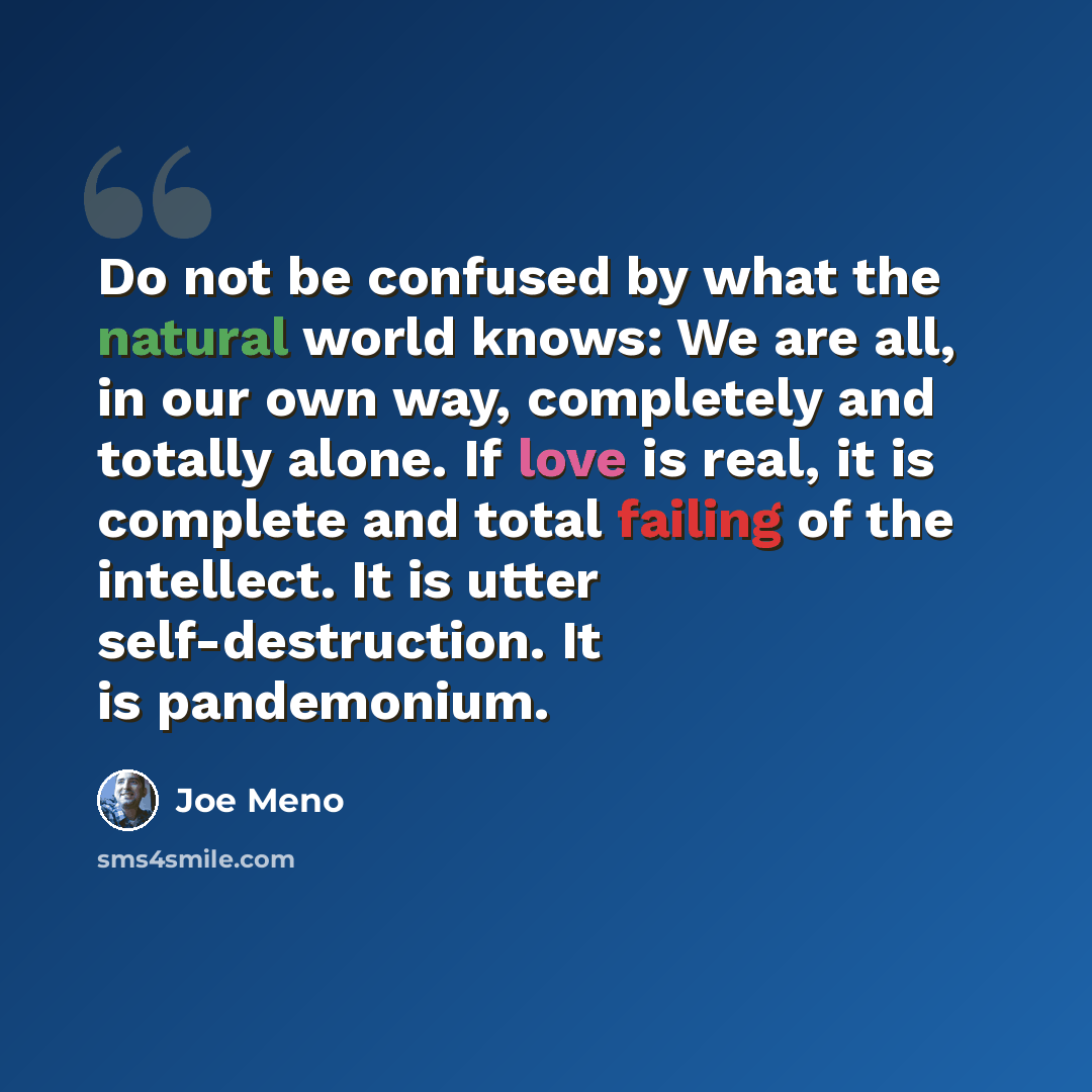 “Do not be confused by what the natural world knows: We are all, in our own way, completely and totally alone. If love is real, it is complete and total failing of the intellect. It is utter self-destruction. It is pandemonium.” quote by Joe Meno