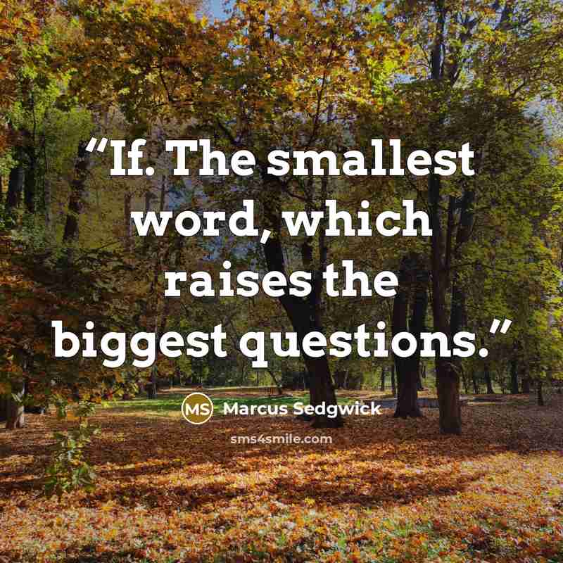 “If. The smallest word, which raises the biggest questions.” quote by Marcus Sedgwick