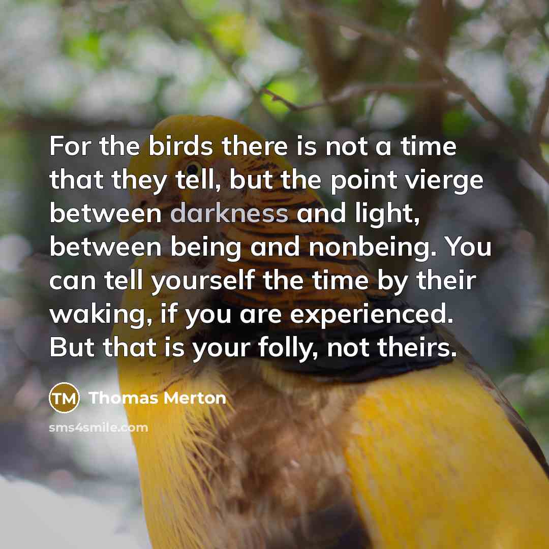 “For the birds there is not a time that they tell, but the point vierge between darkness and light, between being and nonbeing. You can tell yourself the time by their waking, if you are experienced. But that is your folly, not theirs.” quote by Thomas Merton