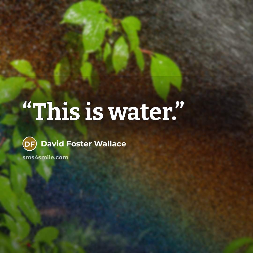“This is water.” quote by David Foster Wallace