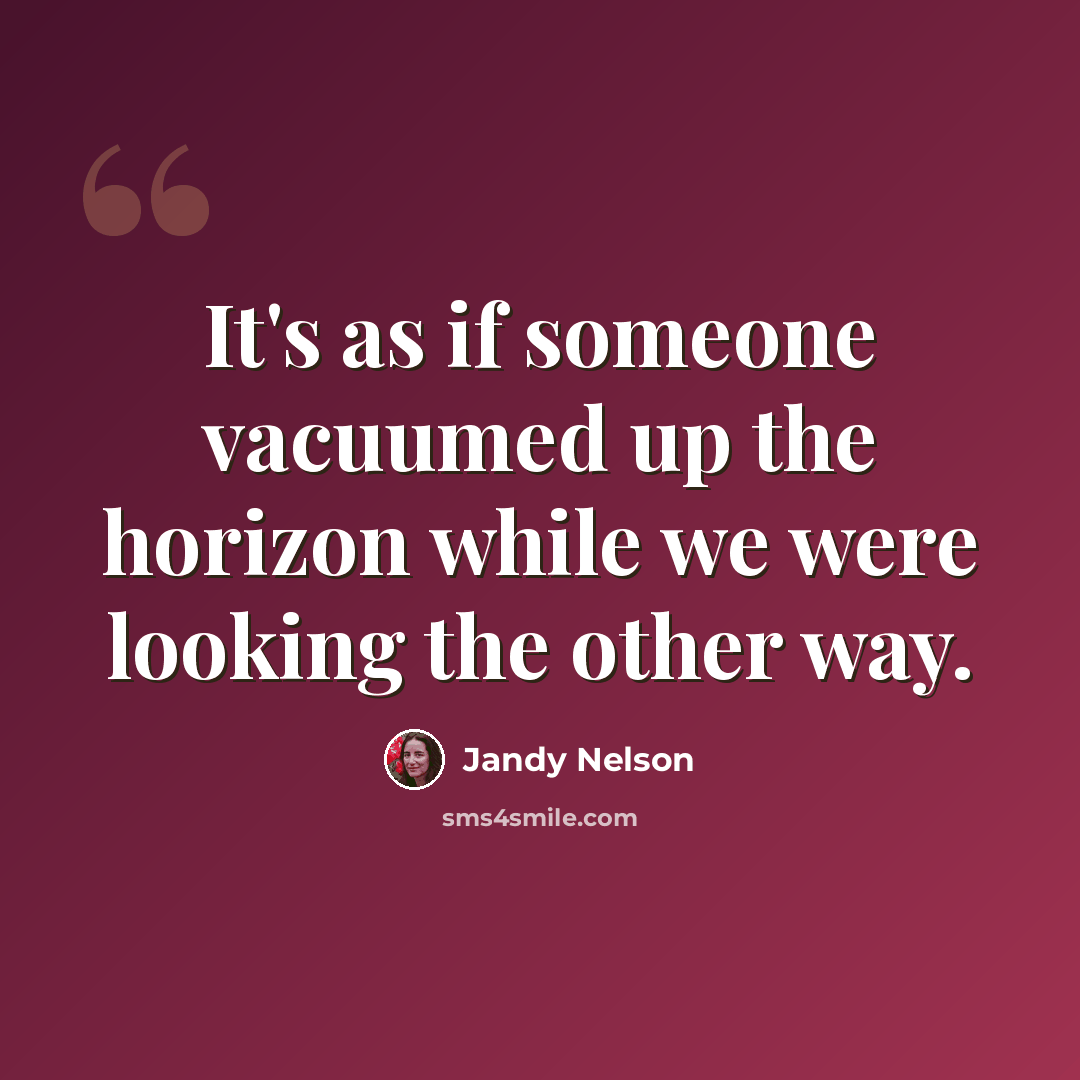 “It's as if someone vacuumed up the horizon while we were looking the other way.” quote by Jandy Nelson