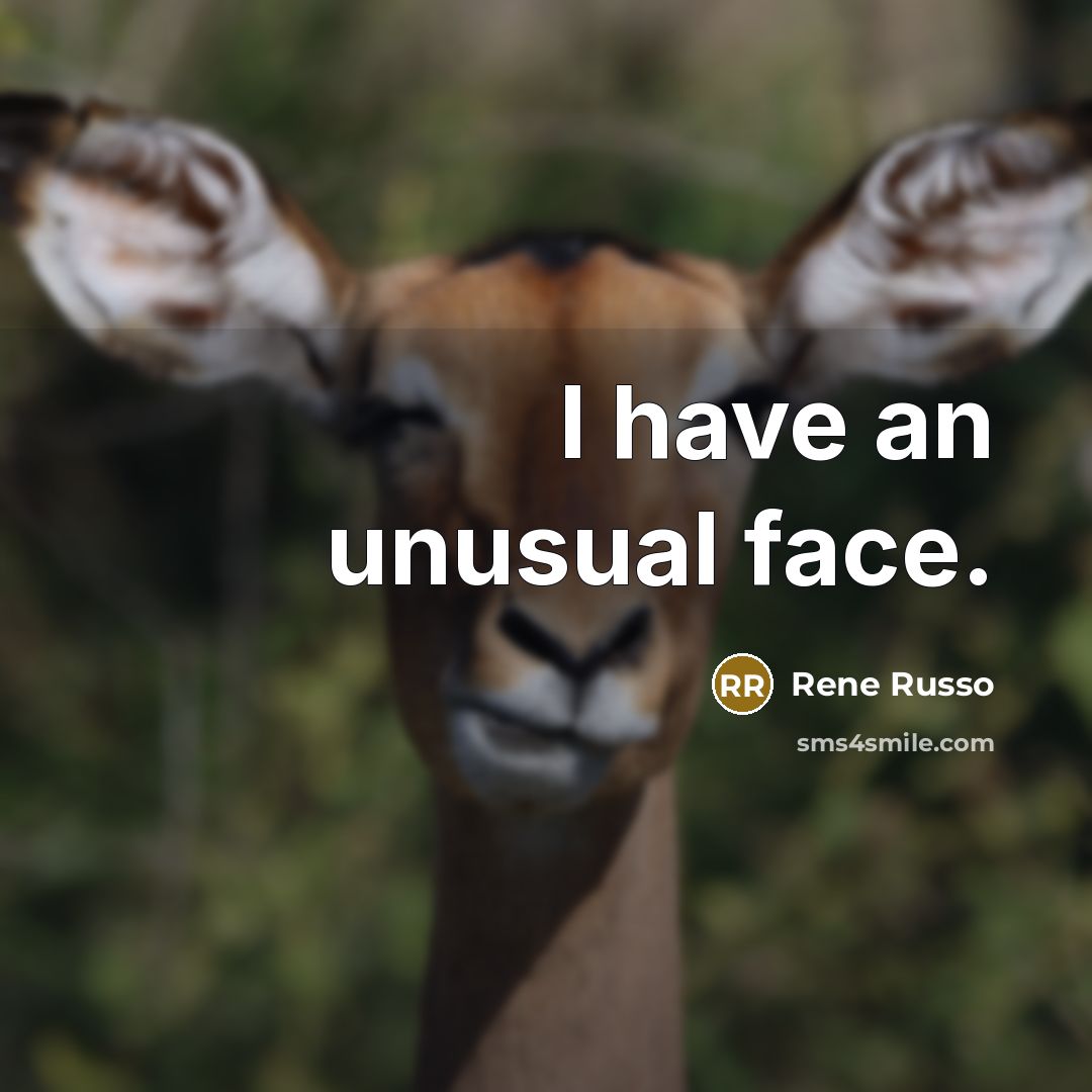 “I have an unusual face.” quote by Rene Russo